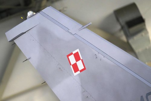 Fot. PAP/Jakub Kaczmarczyk