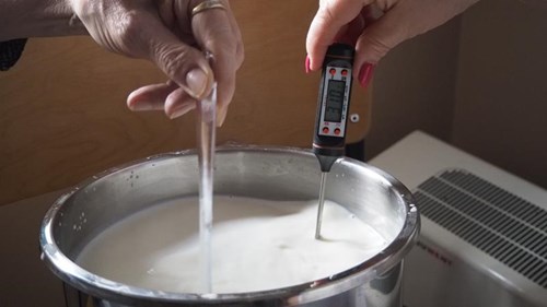 Sernikowa Kraina - warsztaty serowarskie w Uniemyślu